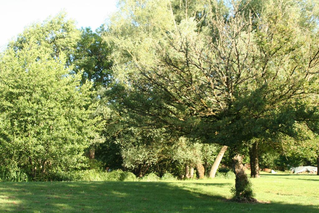 Bed and Breakfast Le Petit Moulin Faverelles Экстерьер фото